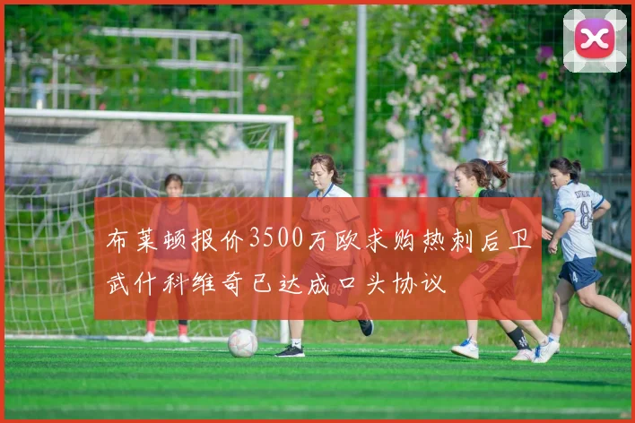 布莱顿报价3500万欧求购热刺后卫武什科维奇已达成口头协议