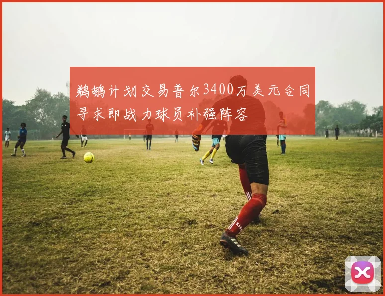 鹈鹕计划交易普尔3400万美元合同寻求即战力球员补强阵容
